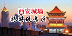 日本日逼二区中国陕西-西安城墙旅游风景区